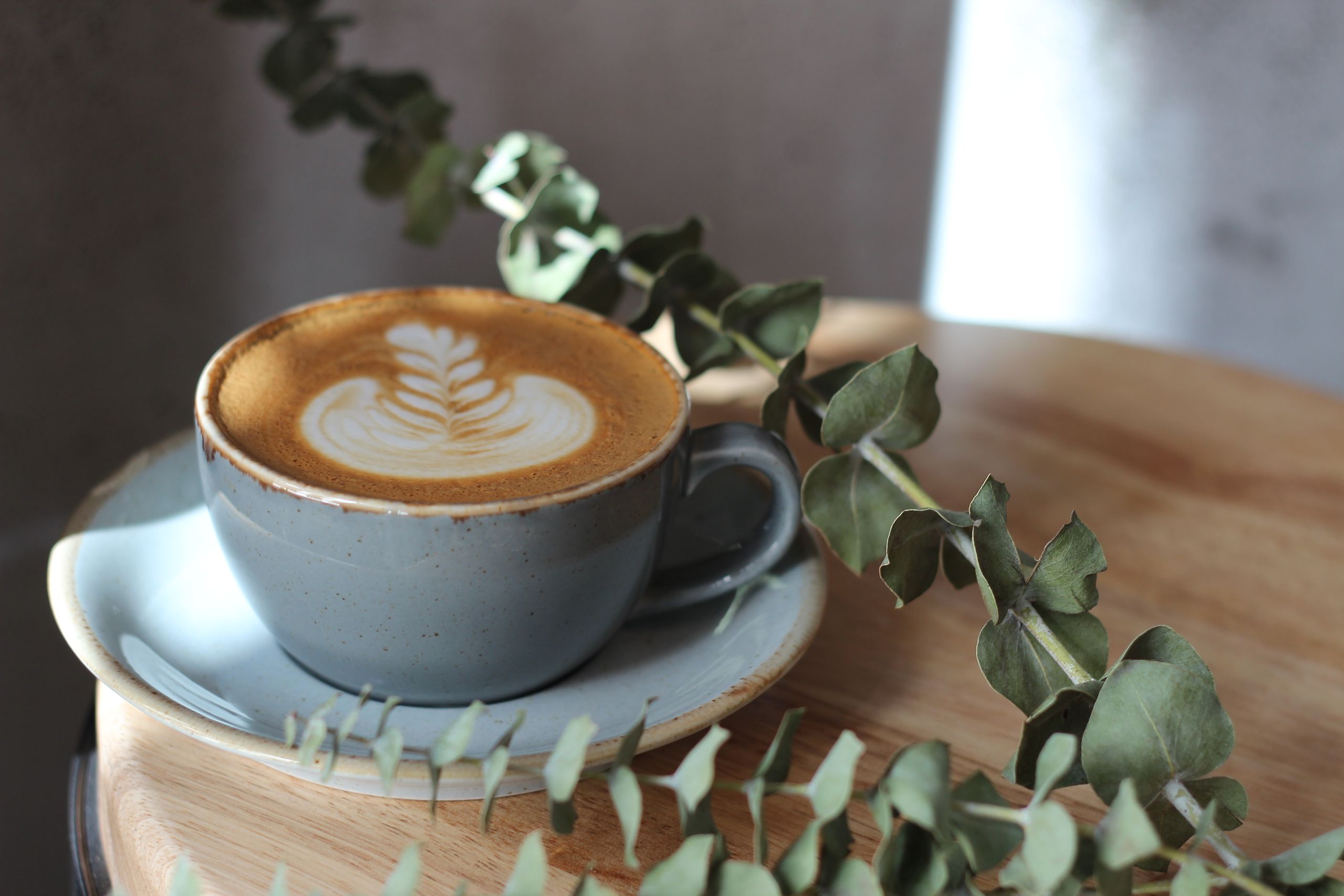 Coffee bag labeled ETHIOPIA ESPRESSO with ceramic mug and eucalyptus plant on wood board