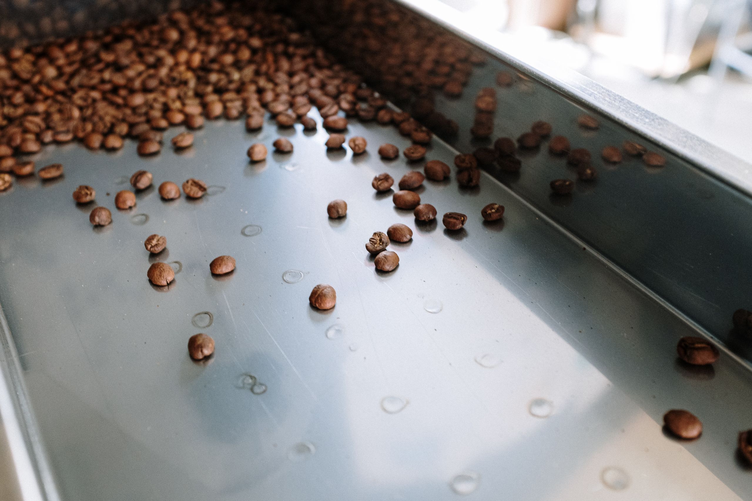 Coffee beans falling into roaster
